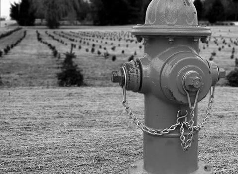 Web漏洞扫描工具